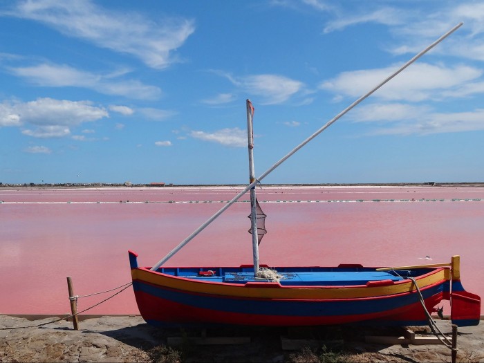 salin