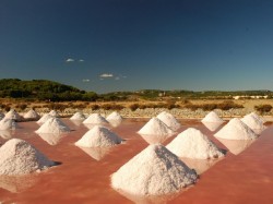 salin