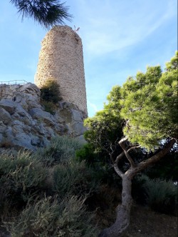 Tour Barberousse